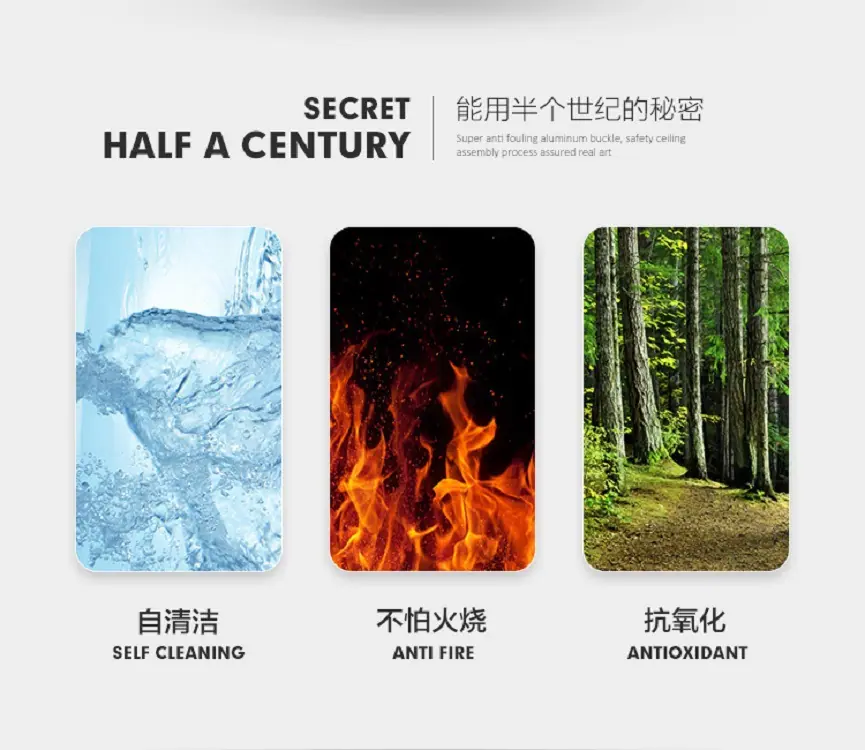 13.gif