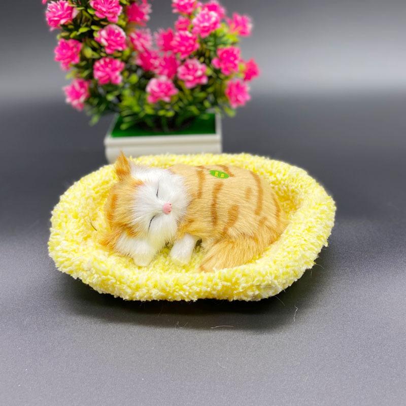 黄窝黄花睡猫.jpg