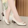 Zapatos Nuevos de Mujer para Primavera y Otoño Dropshipping, Zapatos de Cuero para Mujeres de Mediana Edad, Zapatos Bajos Cómodos de Tacón Grueso, Zapatos Versátiles para Madres