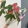 Plantas Verdes Simuladas Folhas de Alocasia Flores Simuladas Flores Artificiais Folhas de Guanyin Decoração de Cena de Casamento Paisagem Tropical Decoração de Jardim