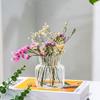 Novo Criativo Xinnuo Vaso de Vidro Vaso Seco Vaso Vaso Hidropônico Ornamentos Decorativos Garrafa