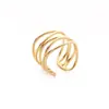 Anillos Transfronterizos Europeos y Americanos con un Toque Exclusivo de Gama Alta, Anillos Huecos Exagerados de Acero Inoxidable Chapado en Oro Estilo Ins, Joyería al por Mayor