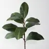 Planta Verde Artificial Hojas de Magnolia, Hojas de Magnolia Artificiales, Hojas Artificiales para Decoración de Bodas, Ramas de Magnolia de Hoja Grande para Decoración Suave, Transfronterizo