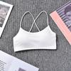 Otoño e invierno Nuevo hilo base anti-luz hermosa espalda mujeres modal con almohadilla en el pecho deportivo a prueba de impactos ropa interior para mujeres