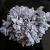Hortensia Inmortal a Granel Hortensia Anna a Granel Pétalo Flor Seca Flor Inmortal Material Hecho a Mano Decoración Accesorios de Regalo