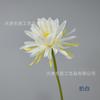 Epiphyllum Rama Única Flor Falsa Antiguo Hanfu Accesorios de Fotografía Loto de Mano Decoración Ceremonial Boda China