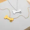 Novedades Transfronterizas Europeas y Americanas Colgante de Hueso de Perro de Acero Inoxidable Acero de Titanio Estilo Frío Collar para Mascotas Joyería Que Se Puede Grabar