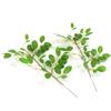 Mayorista planta artificial arbusto madera hoja blanca flor blanca Jimu hoja grande flor dulce hoja de laurel planta verde decoración fabricante