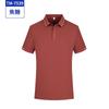Camiseta Solona antibacterial de lapela para trabalho com logo personalizado cor camisa cultural roupas de trabalho roupas personalizadas para grupo empresarial