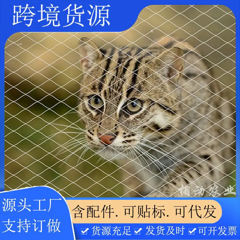 主图一
