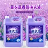 [Artículos genuinos oficiales] Cubo de Detergente Líquido para Ropa Fragancia a Lavanda Fragancia Duradera Súper Descontaminación Paquete para el Hogar Asequible Envío Gratis