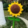 Transfronterizo de un solo paso campeonato inauguración festival escolar escolar regalos hechos a mano producto terminado ganchillo hilo de hielo girasol gigante rosa