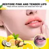 Exfoliante de Labios Mes del Oeste Bálsamo Labial Hidratante Humectante