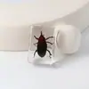 Especímenes Delgados de Insectos Reales, Adornos de Escritorio de Animales Reales, Escorpiones, Tortugas Doradas, Cigarras, Materiales Didácticos para Niños, Manualidades de Resina