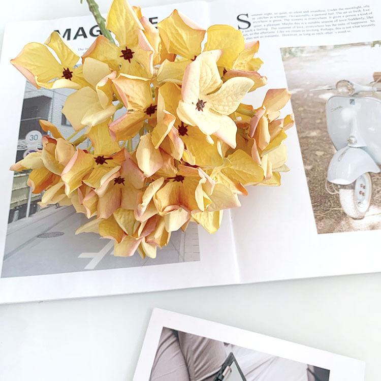 QQ图片20220713121033