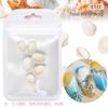Serie Oceánica Manicura Rodajas de Concha Natural Rodajas de Abulón Estrella de Mar Caracola Playa de Verano Joyería DIY Mayoreo