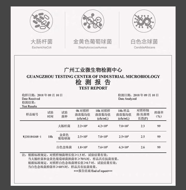 9017_04.jpg