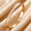 Pulsera de Acero de Titanio de Gama Alta con Perla Blanca para Mujer Incrustada con Diamantes Pulsera de Personalidad Simple Diseño de Nicho Pulsera de Acero Inoxidable