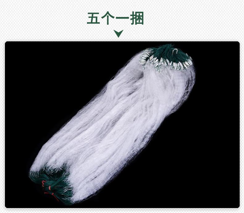 细6.jpg