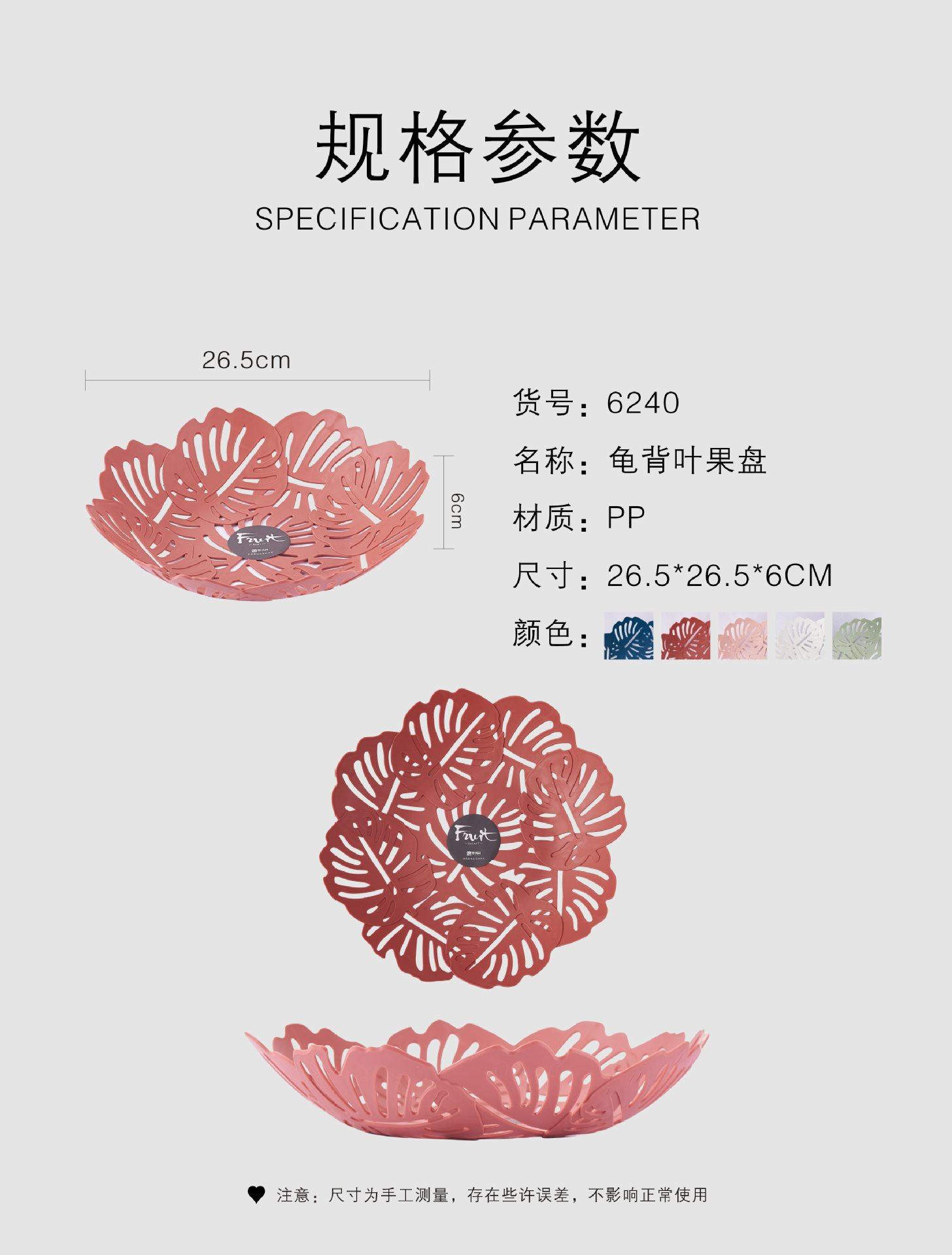 6240龟背叶-03