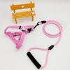 Set de Tracción con Correa de Pecho para Mascotas para Salir Cuerda de Tracción para Perro Chaleco Riot Flush Perro Pequeño y Mediano Cuerda para Pasear Perros