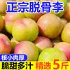 Ciruelas Rojas Crujientes Deshuesadas Auténticas de Sichuan, Ciruelas de Tierra Verde, Frutas Frescas, Ciruelas Yinghong de Temporada, Azúcar con Miel, Venta al por Mayor de Wenchuan