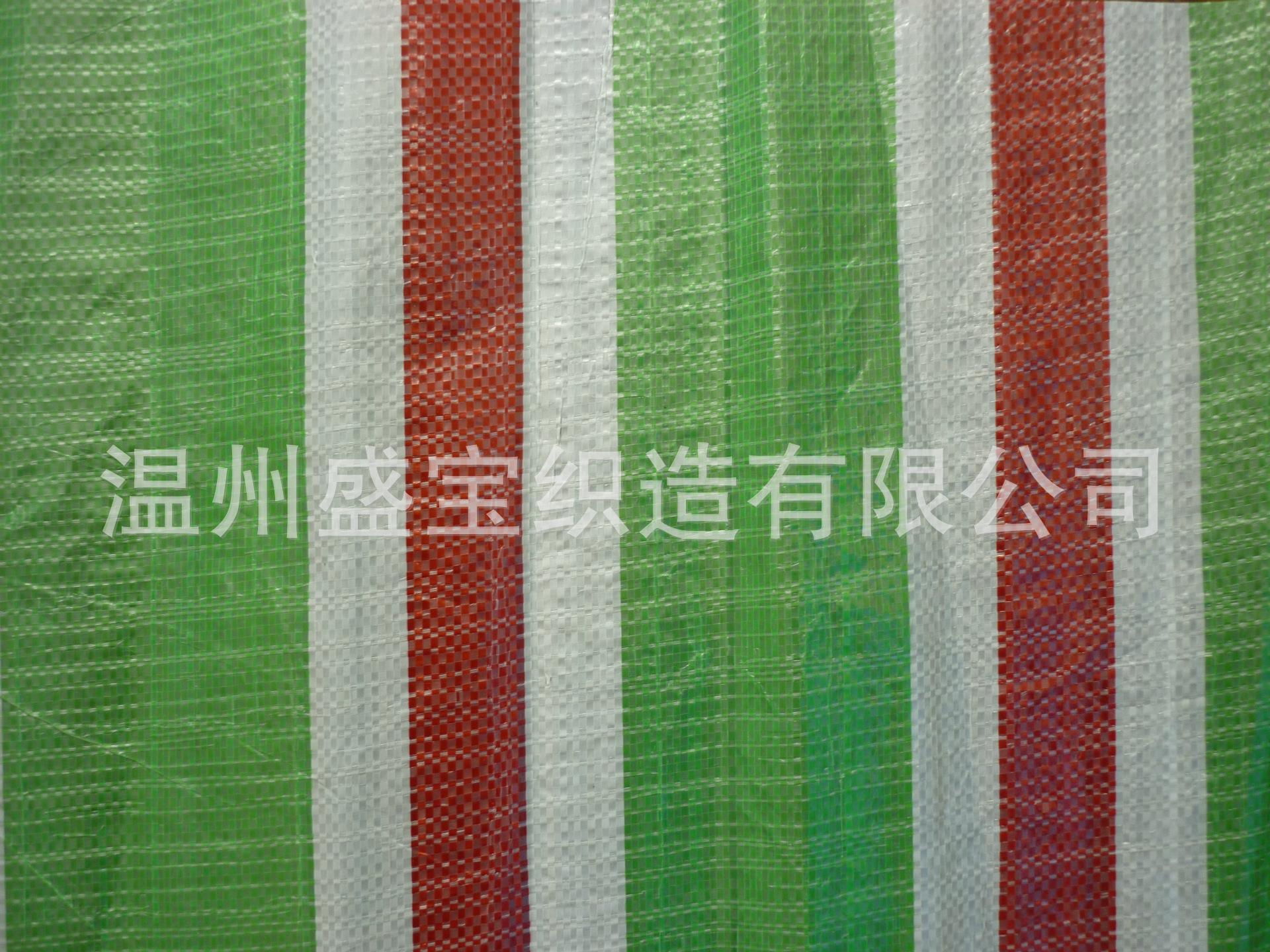 P1010263