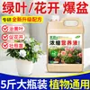 Solución Nutritiva Universal para Plantas de Interior en Maceta, Plantas Verdes y Flores - Líquido Mejorador de Suelo, Estimulante de Raíces y Fortalecedor de Plántulas