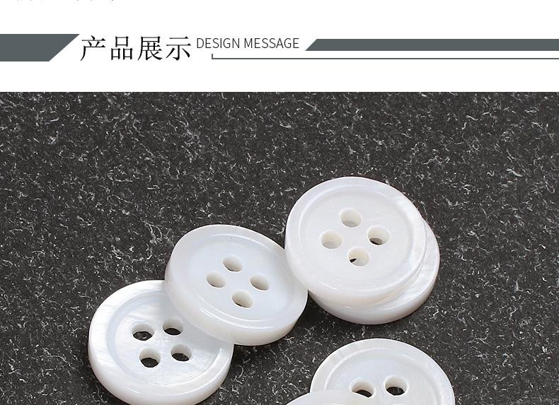 四眼珍珠贝_06.jpg