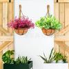 Gancho Creativo de Madera Maciza para Pared, Perchero de Entrada, Gancho de Madera para Interior sin Perforaciones, Gancho para Plantas, Fábrica