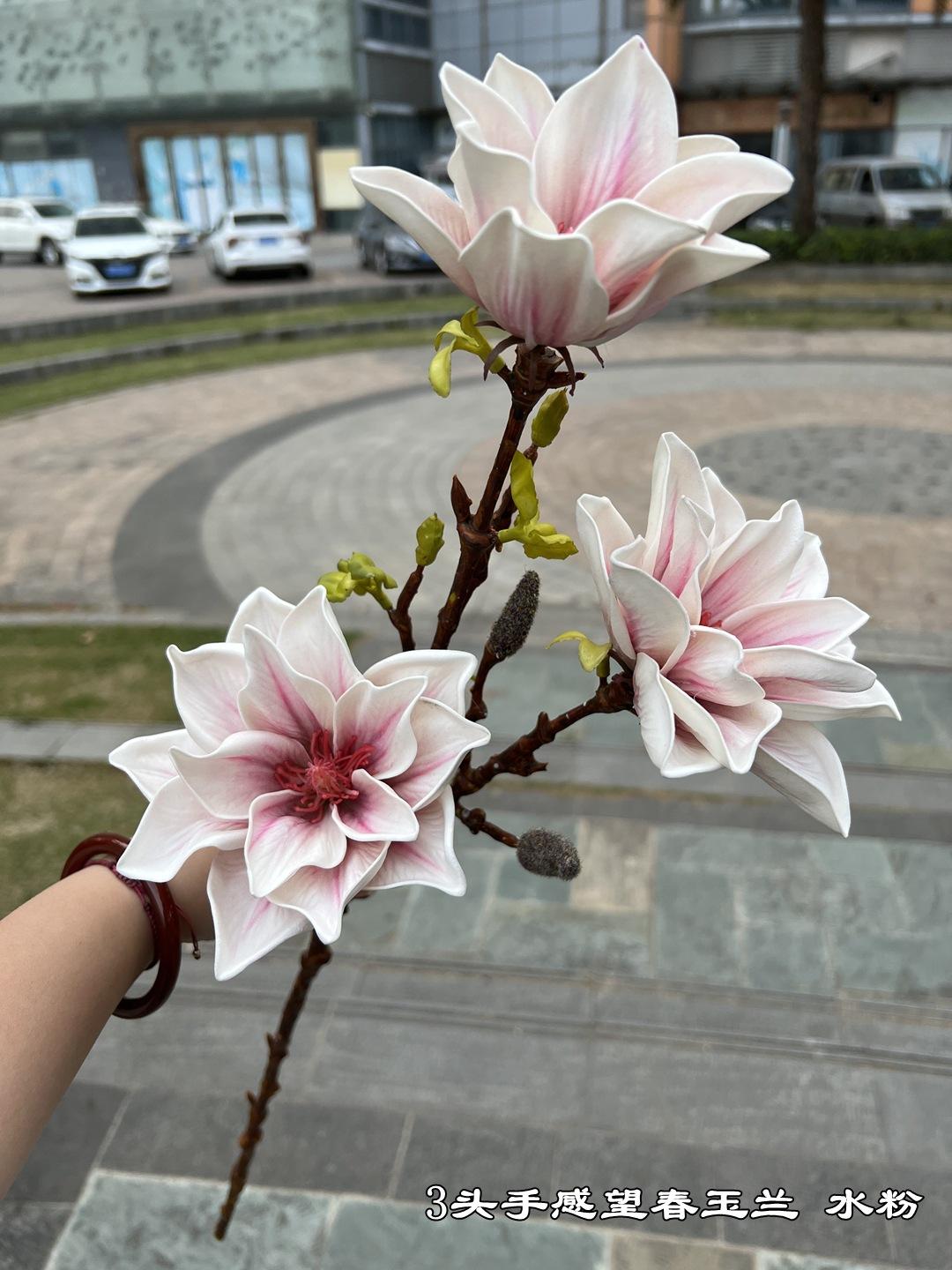 微信图片_20230319093103.jpg