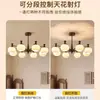 Lustre de sala de estar vintage estilo francês, novo modelo 2026, luminária principal de luxo leve de alta qualidade em formato de caqui, retrô americano para o hall