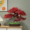 Novo Bonsai Artificial Estilo Chinês Inspirado em Zen Pinheiro Acolhedor e Pinheiro Arhat para Decoração de Escritório, Sala de Estar e Hall de Entrada
