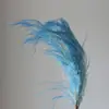 Hierba de barba de dragón flor permanente ramo de flores secas planta de pared colgante enredadera boda floral suave decoración diseño material de floristería fábrica venta al por mayor
