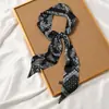 Pañuelo de seda Banda francesa para el cabello Otoño delgado Perezoso Retro Pañuelo de seda Pequeña cinta larga para mujer Pañuelo decorativo Cinta de pañuelo