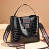 Bolsa Transversal Feminina de Comércio Exterior 2023 Nova Moda Moda Primavera Couro Patente Simples Transversal Grande Capacidade Bolsa Balde de Mão
