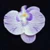 Simulación Cabeza de flor de Phalaenopsis lirio falso decoración de boda hecho a mano DIY flor de muñeca pasador flor material adornos al por mayor