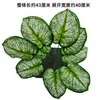 Paredes de Plantas Simuladas, Céspedes Artificiales, Decoraciones de Paredes Verdes con Plantas, Paredes de Fondo, Flores Artificiales, Césped Verde de Plástico Artificial al por Mayor