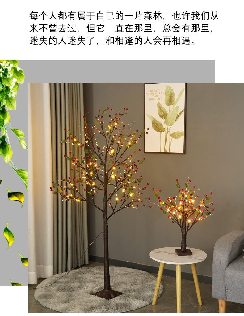 红果树灯尚佳_10.jpg