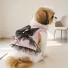 PETCIRCLE Ropa para Mascotas Nuevo Producto Otoño/Invierno 2026: Vestido de Lujo con Lazo para Perros Pequeños y Cachorros