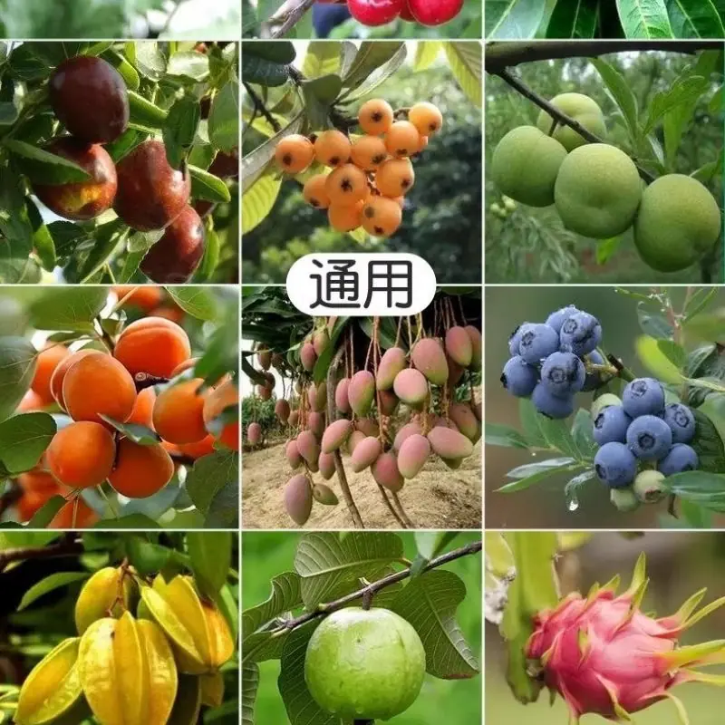 详情图片_13.jpg?x-oss-process=image/format,png