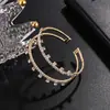 Comercio electrónico transfronterizo nuevo pulsera de alambre de acero dos filas cadena de garra pulsera abierta venta al por mayor fábrica de joyería pulsera directa B293