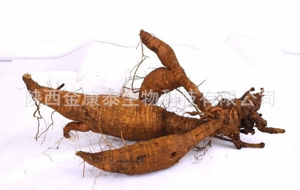 629247332_1372915314