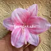 Flores Artificiales Mixtas con Phalaenopsis Rosa, Gipsófila y Populares Flores de Zapato de Horquilla de Xiaohongshu