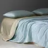Conjunto de Colcha de Tencel Importado de Cor Sólida de Alta Qualidade para Ar Condicionado de Verão Fresco Conjunto de Quatro Peças para Dormir Nu Lado Duplo Seda de Gelo Colcha de Verão Lavável