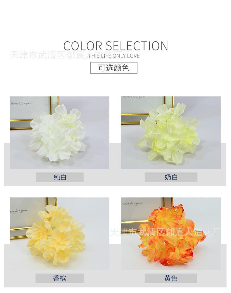 详情_02.jpg