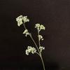 Flor Artificial 3 Hastes Arroz Fruta Gipsofila Decoração de Casa Arranjo de Flores Mori Flor de Casamento Arranjo de Flores para Palco de Casamento Flor Artificial