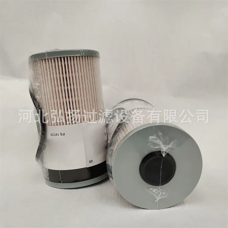FS19728弗列加 (2)