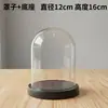 Flor Eterna Cubierta Acrílica Transparente, Cubierta de Plástico Semicircular, Cubierta de Vidrio, Cubierta Protectora contra Polvo para Flores Secas, Materiales para Manualidades DIY