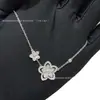 Colar Feminino V Goldra Fu Flor Grande e Pequena Estrela de Cinco Pontas Versão Alta Banhado a Ouro Branco 18K Corrente de Clavícula de Nicho Venda Direta da Fábrica